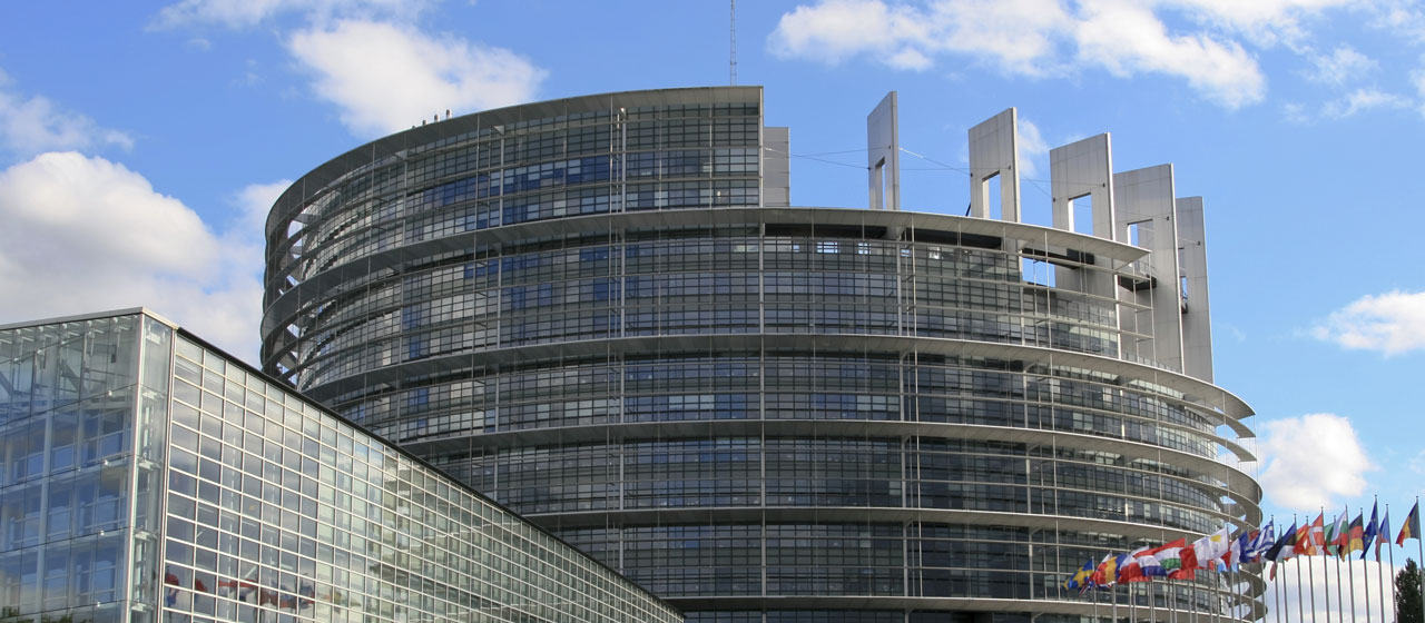 Parlement Européen Strasbourg Entier - Judicia Conseils